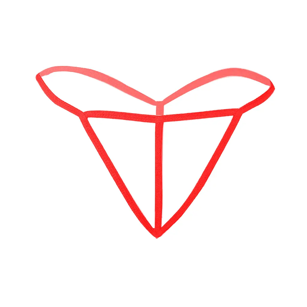 G String Erotic Panty EPN-04010