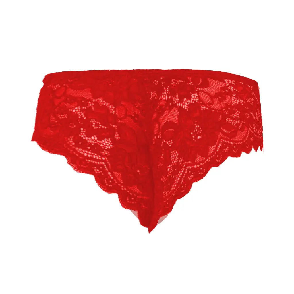 Men's Brief Underwear ML-07324