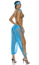 Arabian Night Erotic Costume EC-00801
