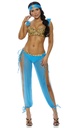 Arabian Night Erotic Costume EC-00801