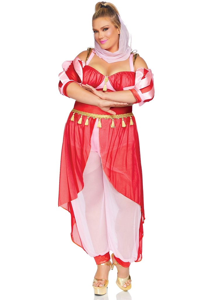 Arabian Night Erotic Costume EC-00812