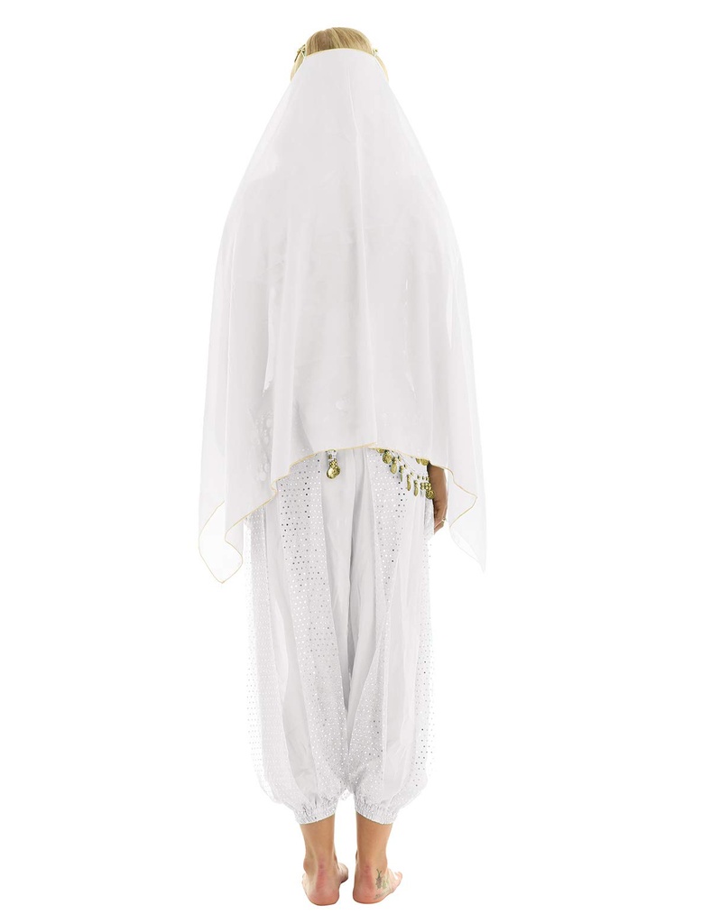 Arabian Night Erotic Costume EC-00813