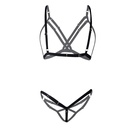 Harness Lingerie Set HLS-61099