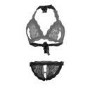 Crotchless Erotic Lingerie Set ELS-06541
