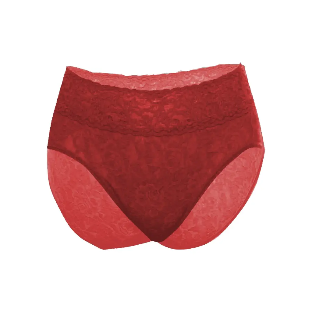 Brief Panty PN-05002