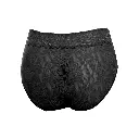 Brief Panty PN-05002