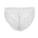 Brief Panty PN-05048