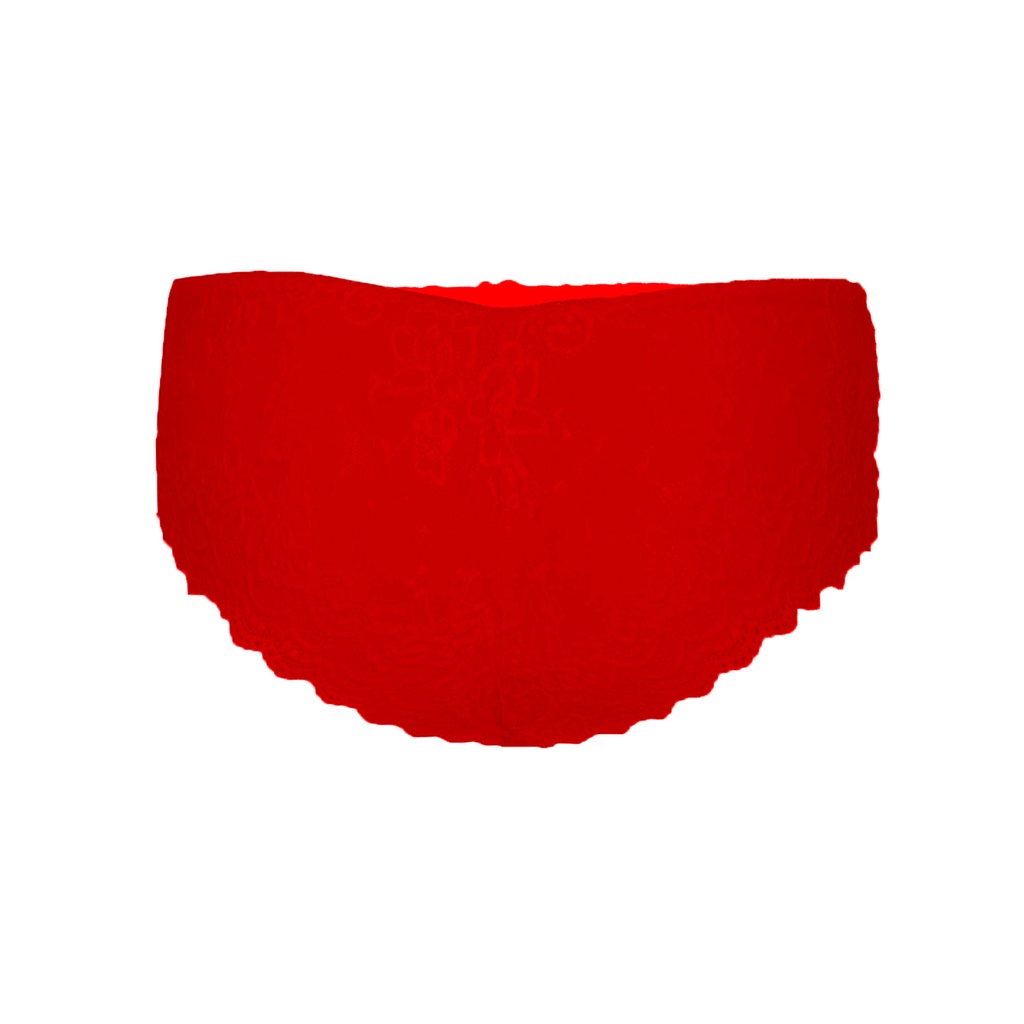 Hipster Panty PN-05016