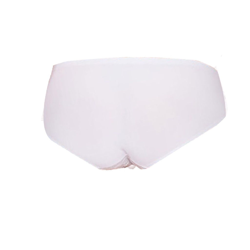 Hipster Panty PN-05024