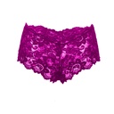 Hipster Panty PN-05059