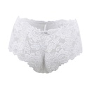 Hipster Panty PN-05059