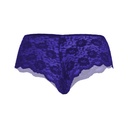 Hipster Panty PN-05093