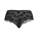 Hipster Panty PN-05093