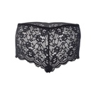 Hipster Panty - PN-05354