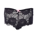 Hipster Panty PN-05338