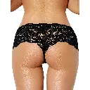 Hipster Panty-PN-05059