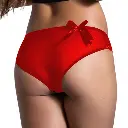  Brief Panty-PN-05250