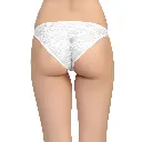  Brief Panty-PN-05736