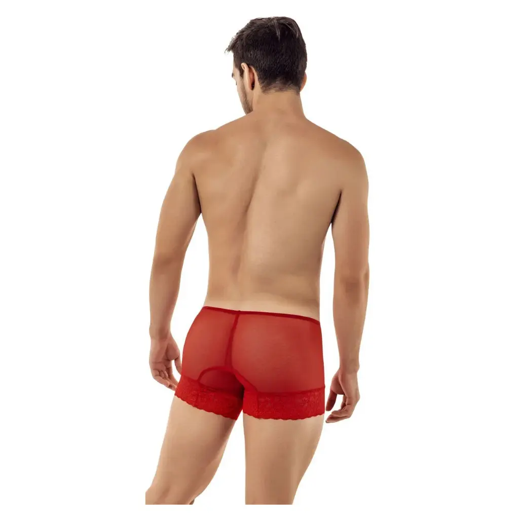 Men's Boxer Underwear  - 07407