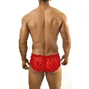  Men's Boxer Underwear  - 07389