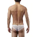  Men's Brief Underwear  - 07183