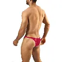  Men's Brief Underwear  - 07301