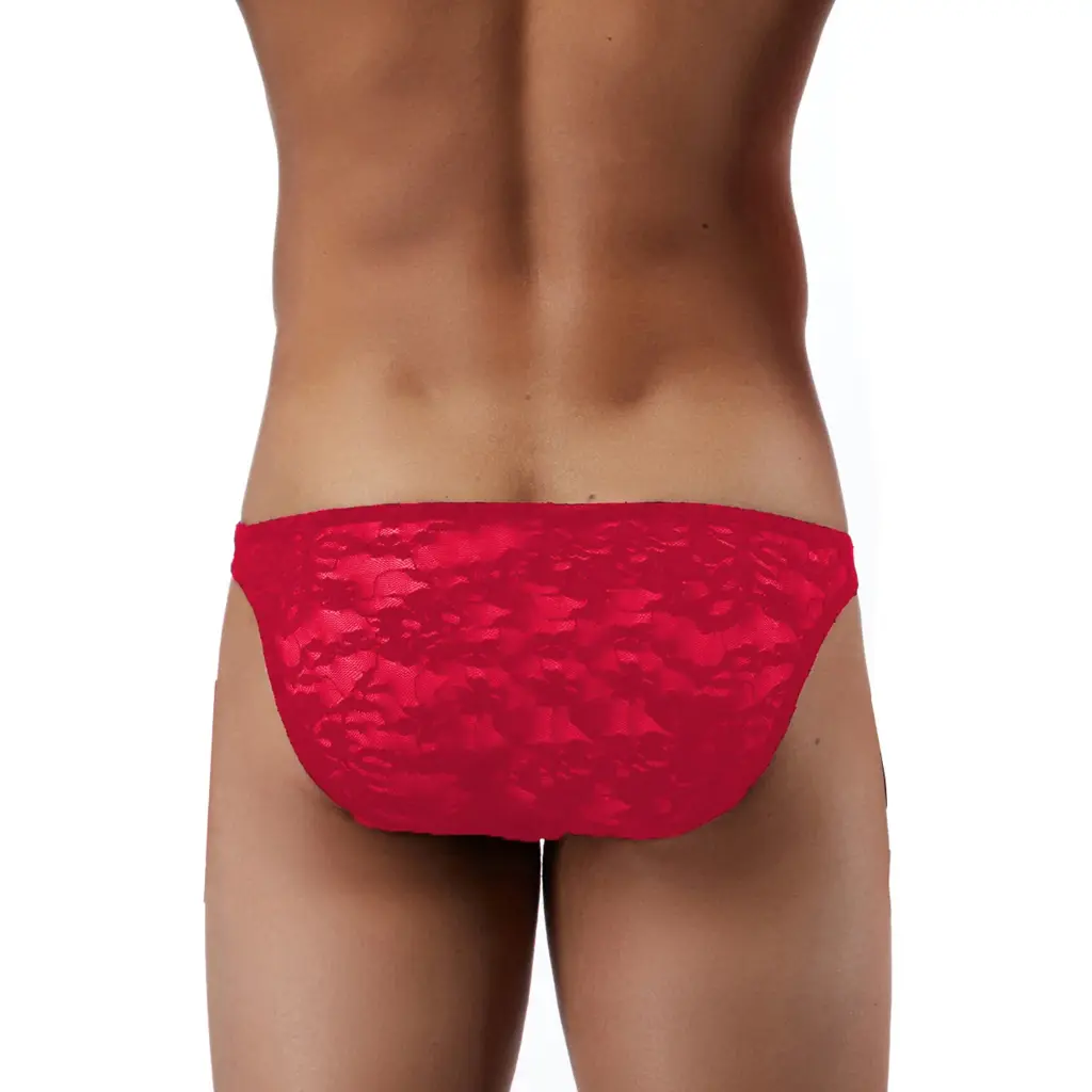  Men's Brief Underwear  - 07116