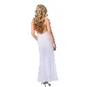 See Through Nightgown-NG-30562
