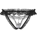 Erotic Panty-EPN-04570