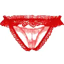 Erotic Panty-EPN-04570