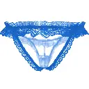 Erotic Panty-EPN-04570