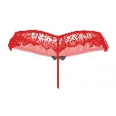 Erotic Panty-EPN-04556