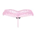 Erotic Panty-EPN-04556