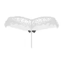 Erotic Panty-EPN-04556