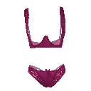 Crotchless Erotic Lingerie Set-ELS-06596