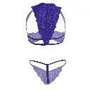Half Cup Erotic Lingerie Set-ELS-06688