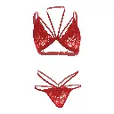 Regular Erotic Lingerie Set-ELS-06812