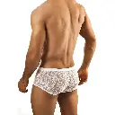  Men's Boxer Underwear  - 07389