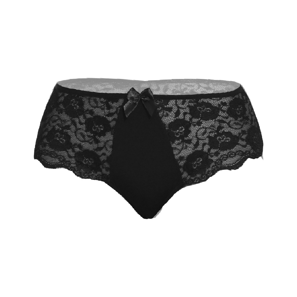Hipster Panty PN-05093
