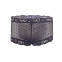 Brief Panty PN-05253