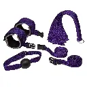 Bondage Kit BDSM-BK-01200