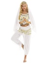 Arabian Night Erotic Costume EC-00813