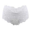 Hipster Panty PN-05059