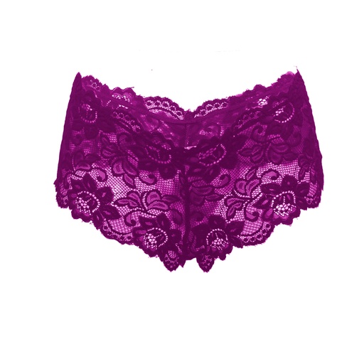 Hipster Panty PN-05059