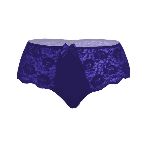 Hipster Panty PN-05093