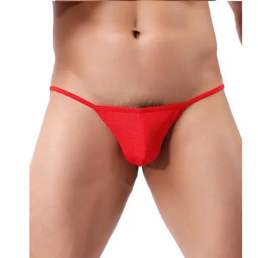  Men's Bikini Underwear ML-07110
