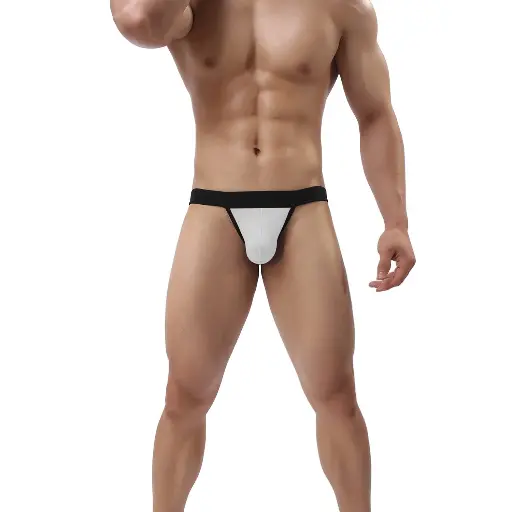 Men's Bikini Underwear ML-07604